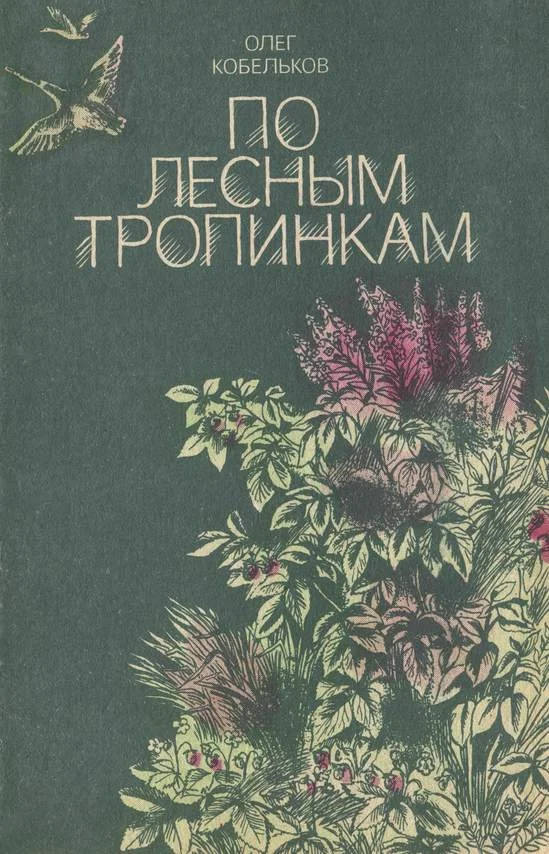 Обложка По лесным тропинкам