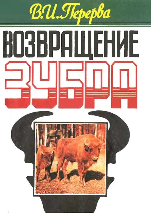 Обложка Возвращение зубра