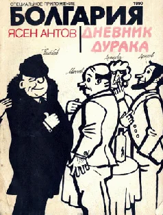 Обложка Дневник дурака