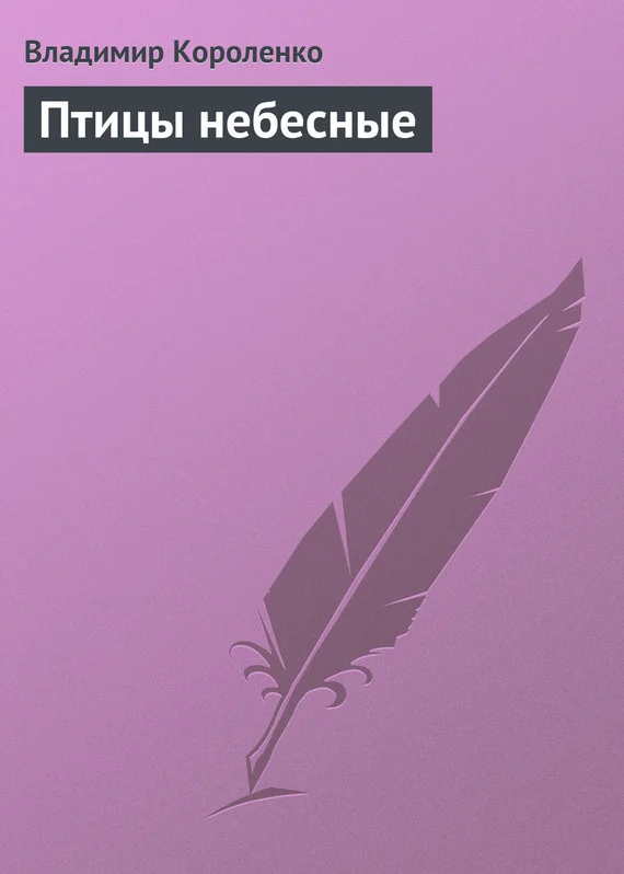 Обложка Птицы небесные