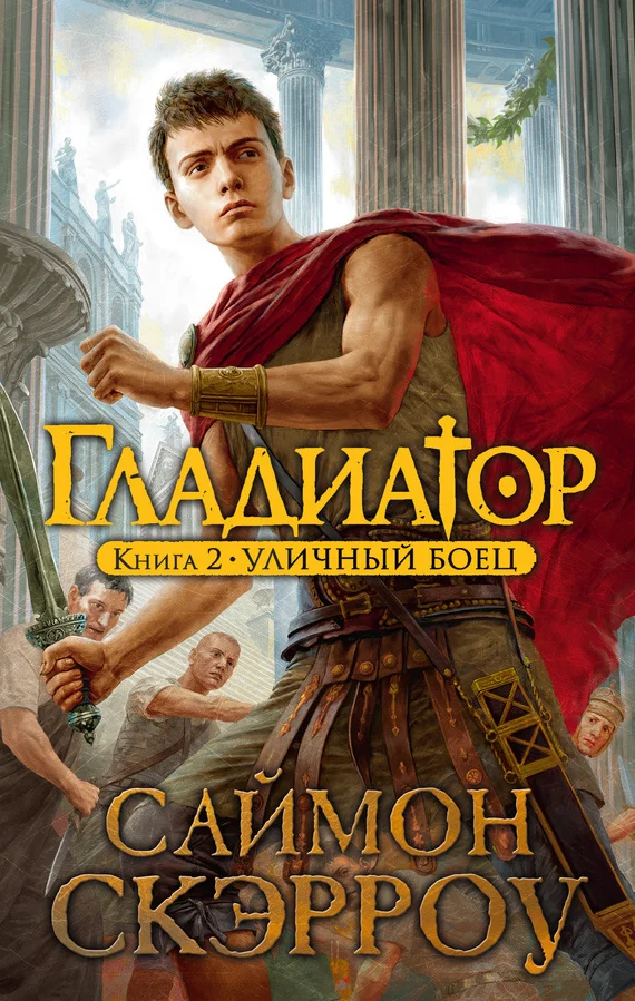 Обложка Уличный боец