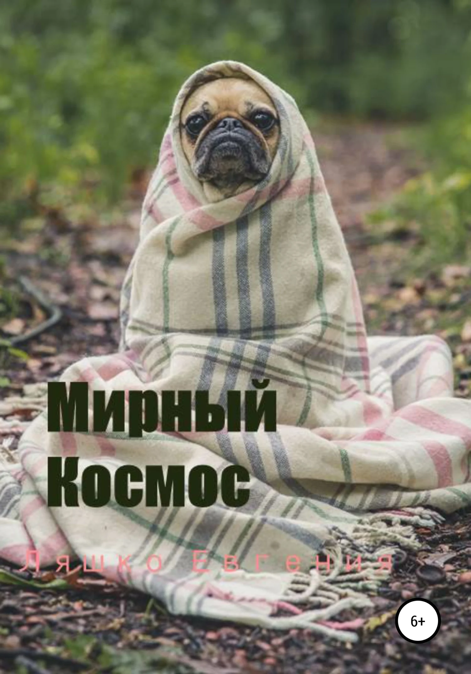 Обложка Мирный Космос
