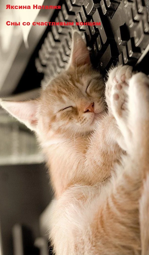 Обложка Сны со счастливым концом