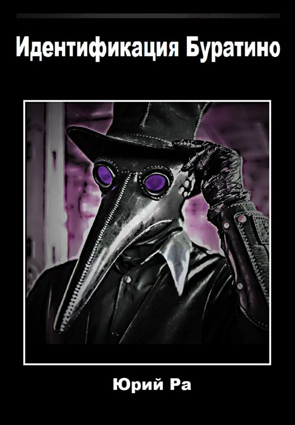 Обложка Идентификация Буратино