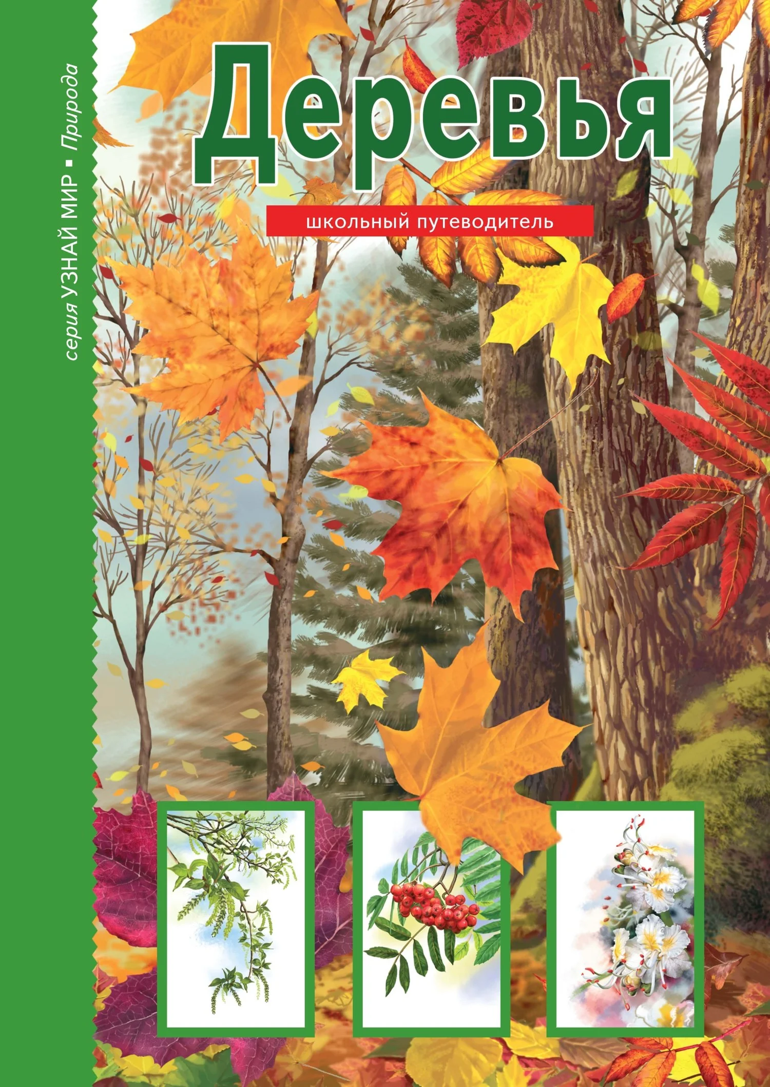 Обложка Деревья