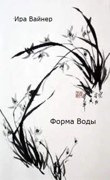 Обложка Форма воды