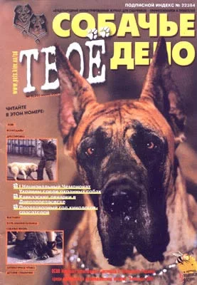 Обложка «Дай, Джек, на счастье лапу мне»