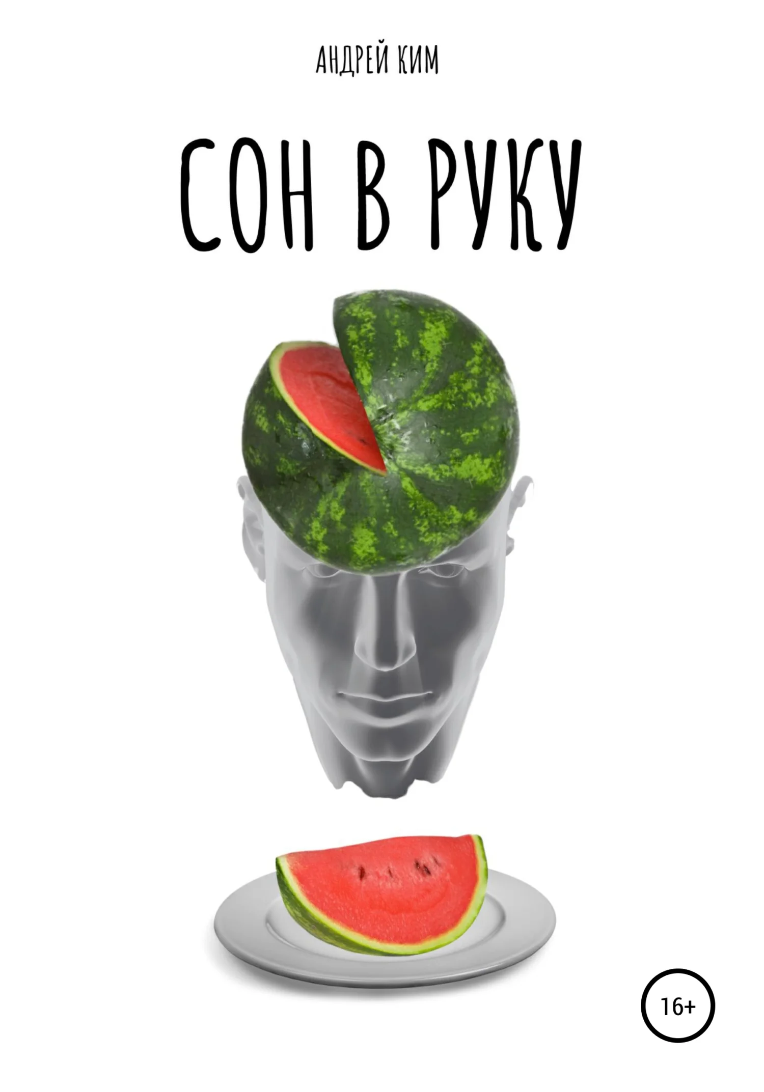 Обложка Сон в руку