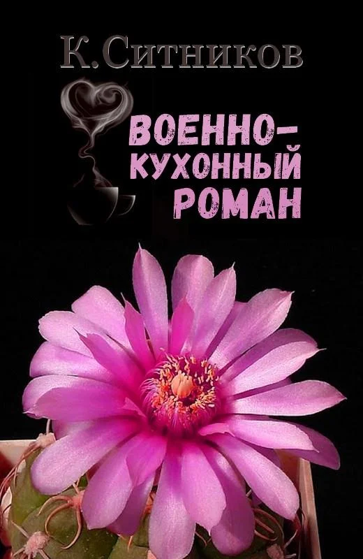 Обложка Военно-кухонный роман