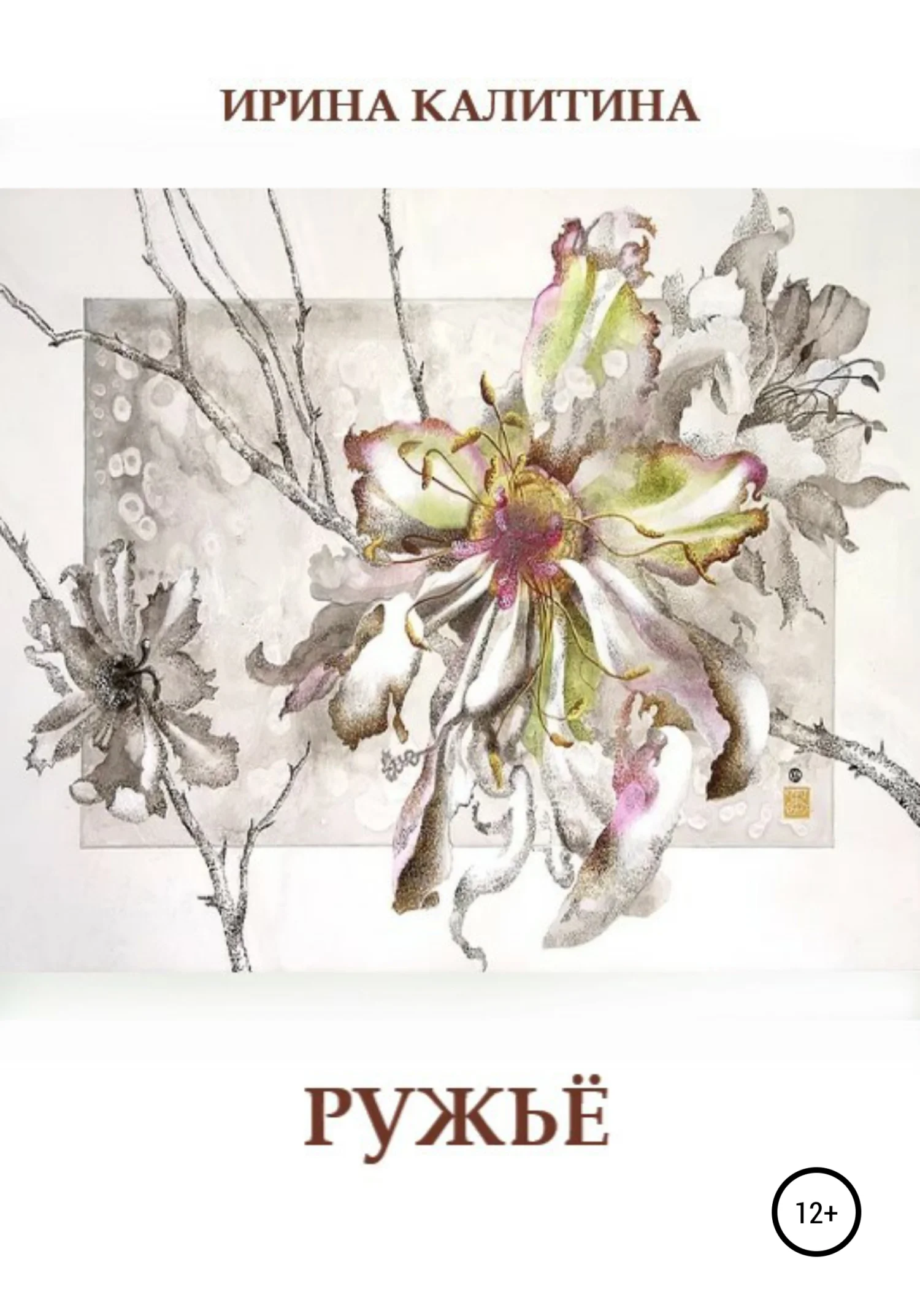 Обложка Ружьё