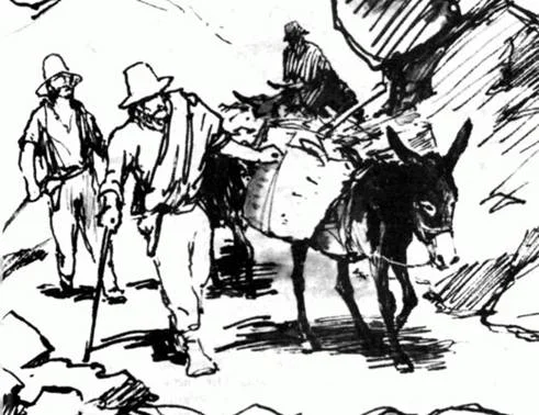 Обложка Сокровища Сьерра-Мадре