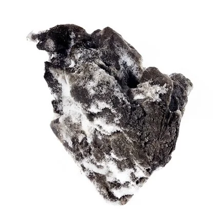 Обложка Собачий рай