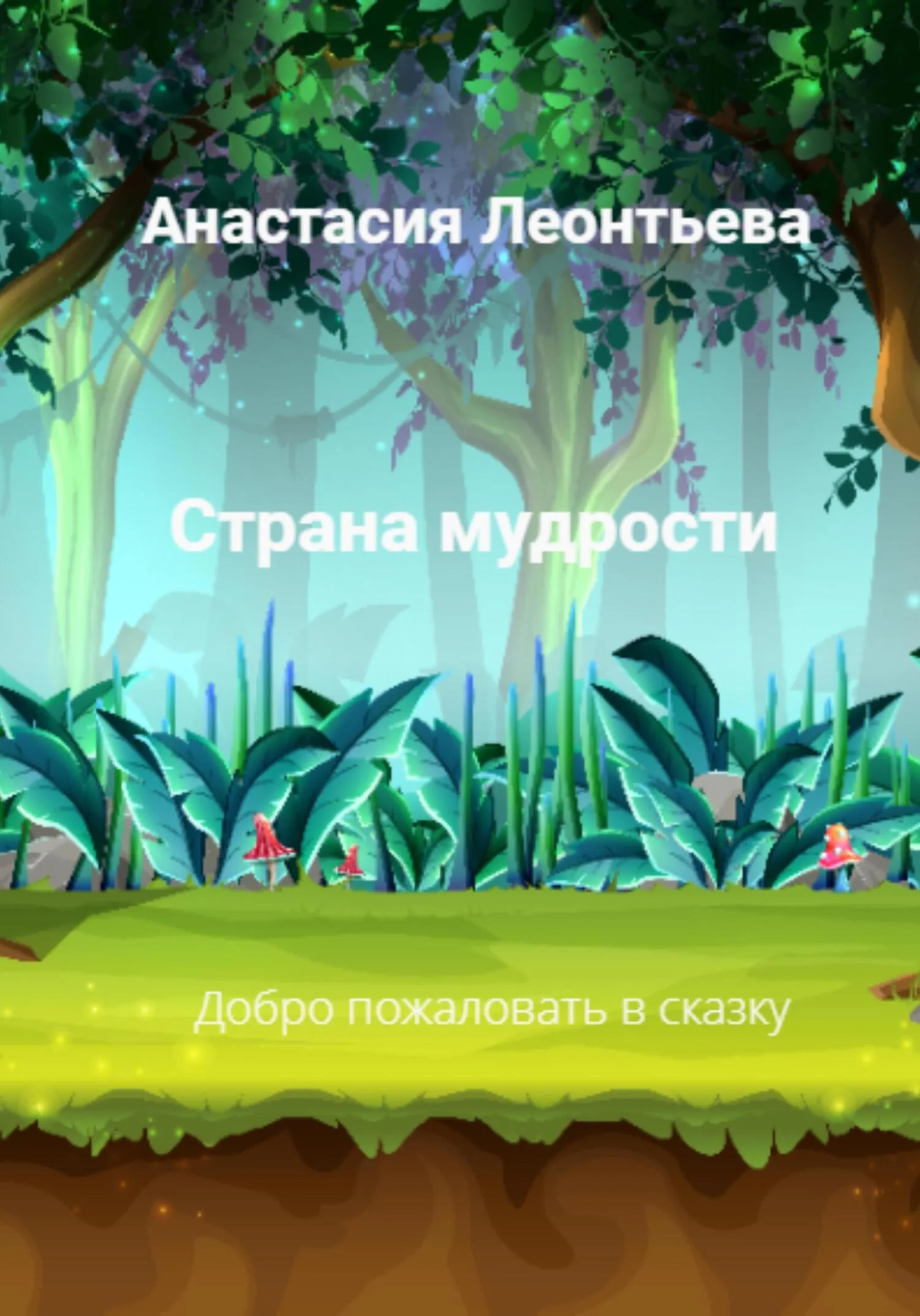 Обложка Страна мудрости