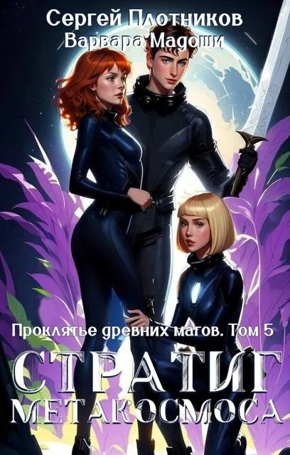 Обложка Стратиг метакосмоса