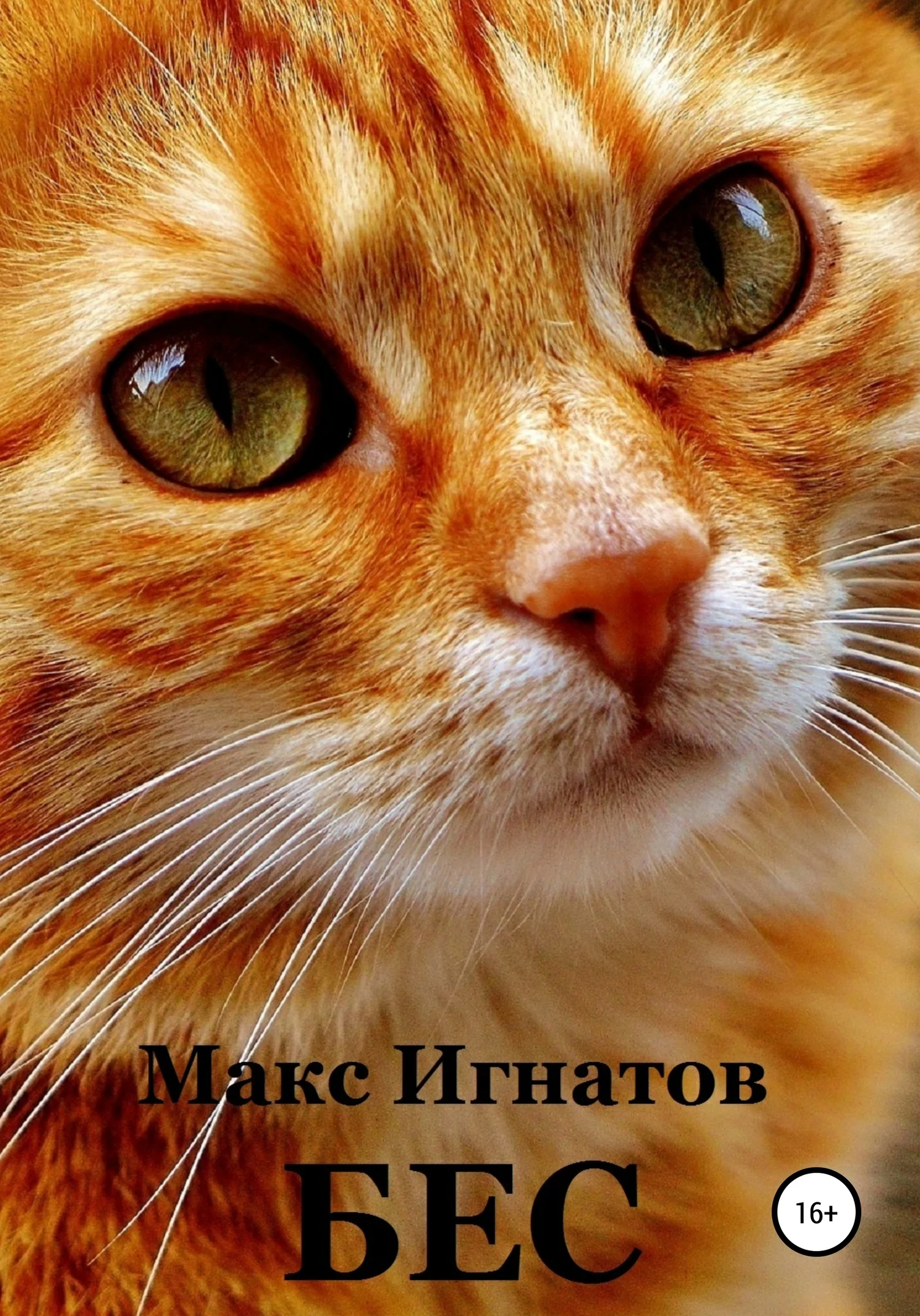 Обложка Бес