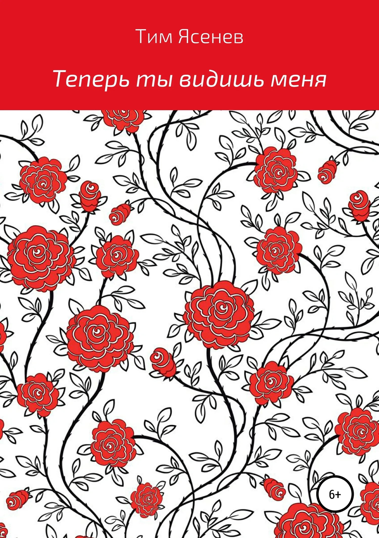 Обложка Теперь ты видишь меня