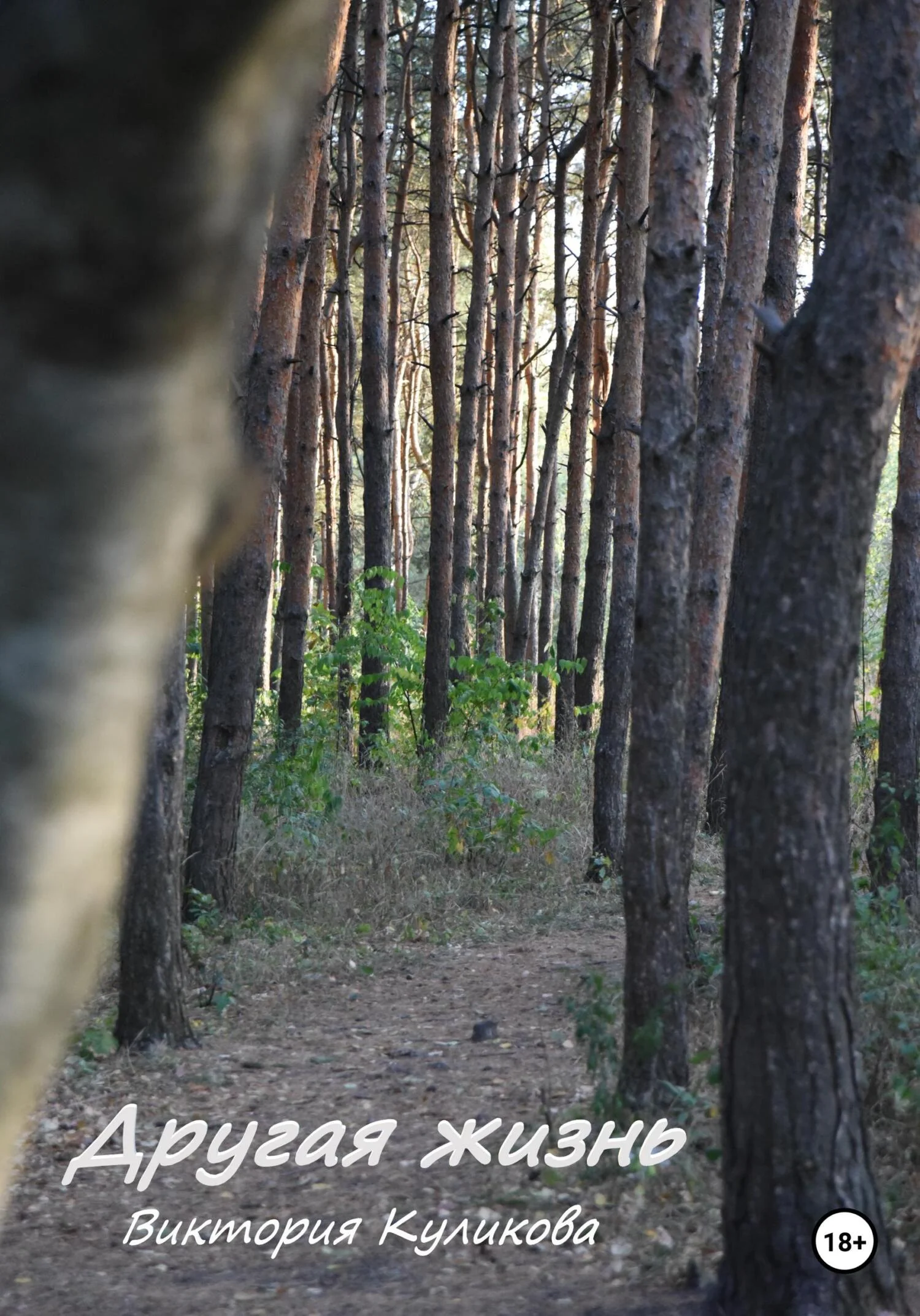 Обложка Другая жизнь