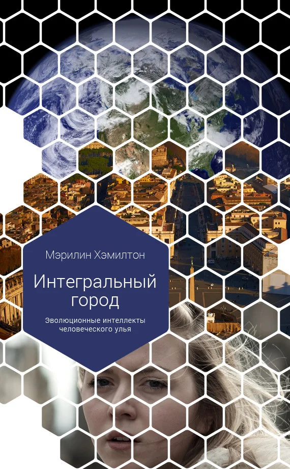 Обложка Интегральный город. Эволюционные интеллекты человеческого улья