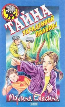 Обложка Тайна украденной пальмы