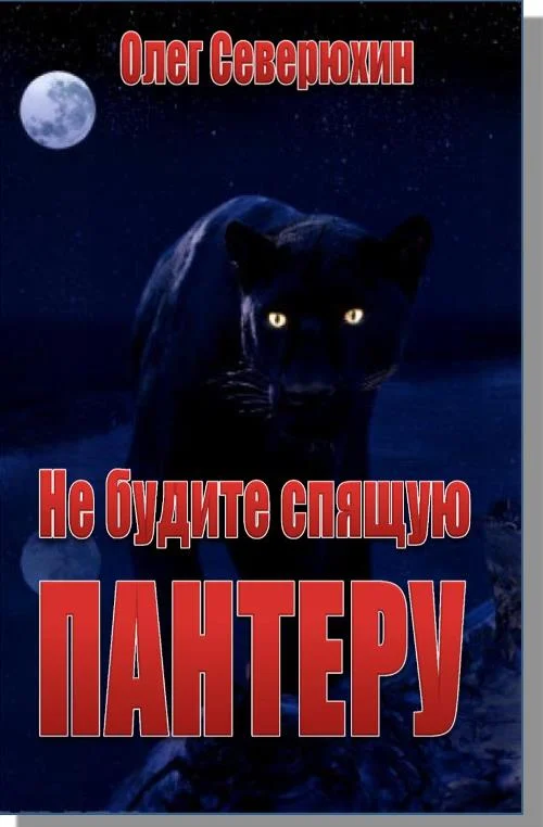 Обложка Не будите спящую пантеру