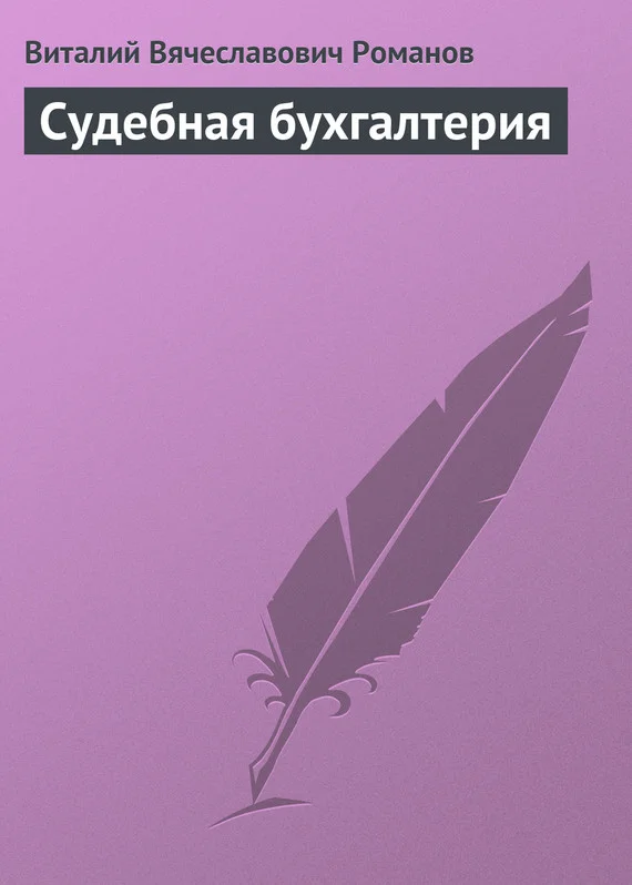 Обложка Судебная бухгалтерия