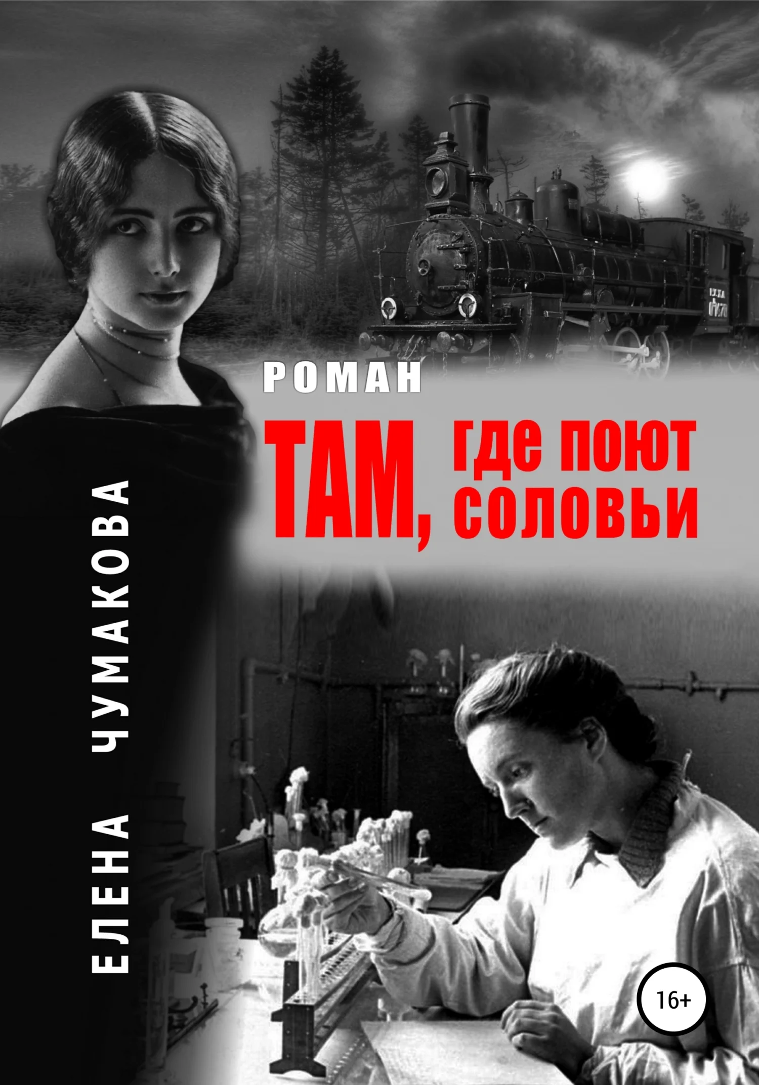 Обложка Там, где поют соловьи