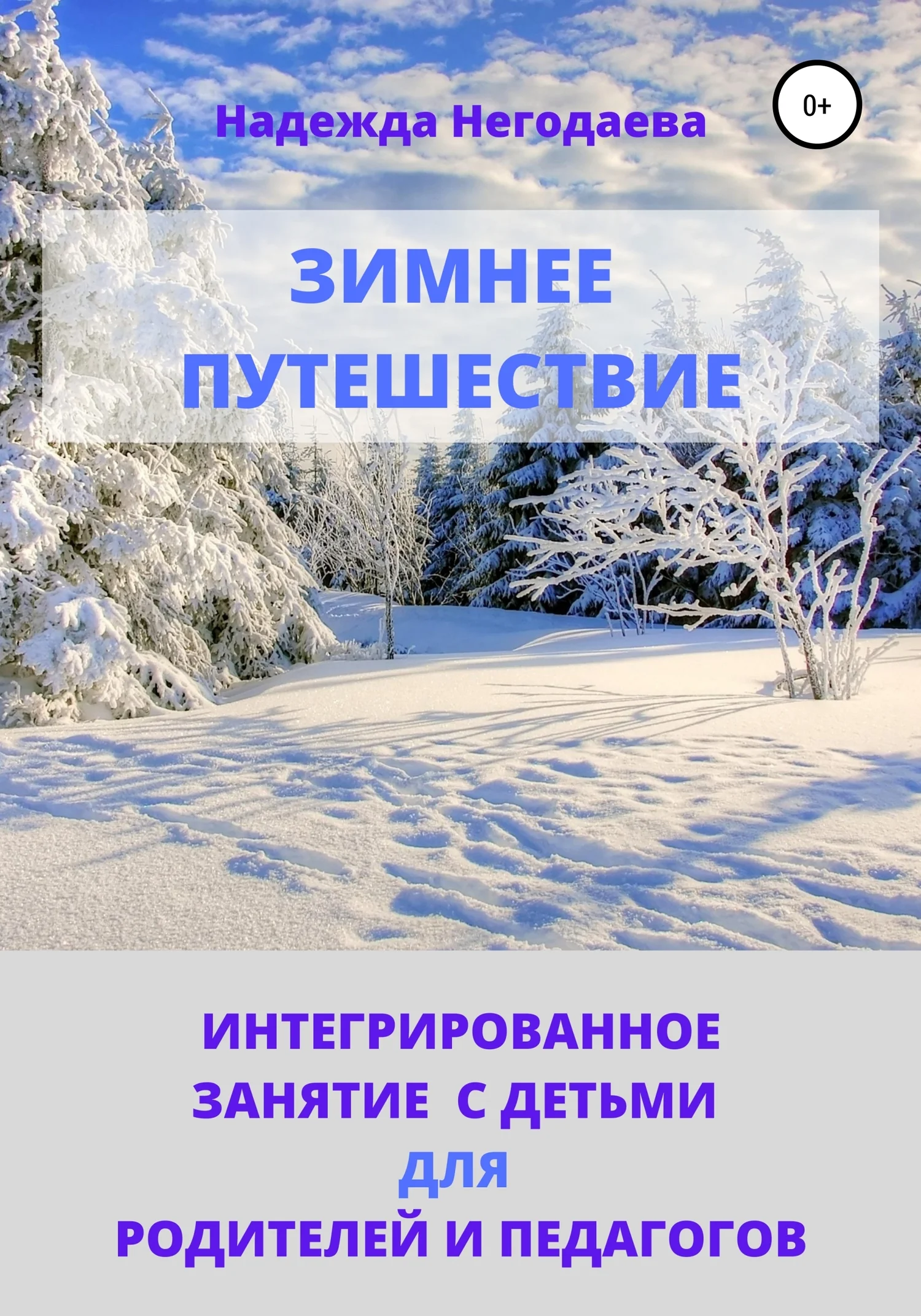 Обложка Зимнее путешествие