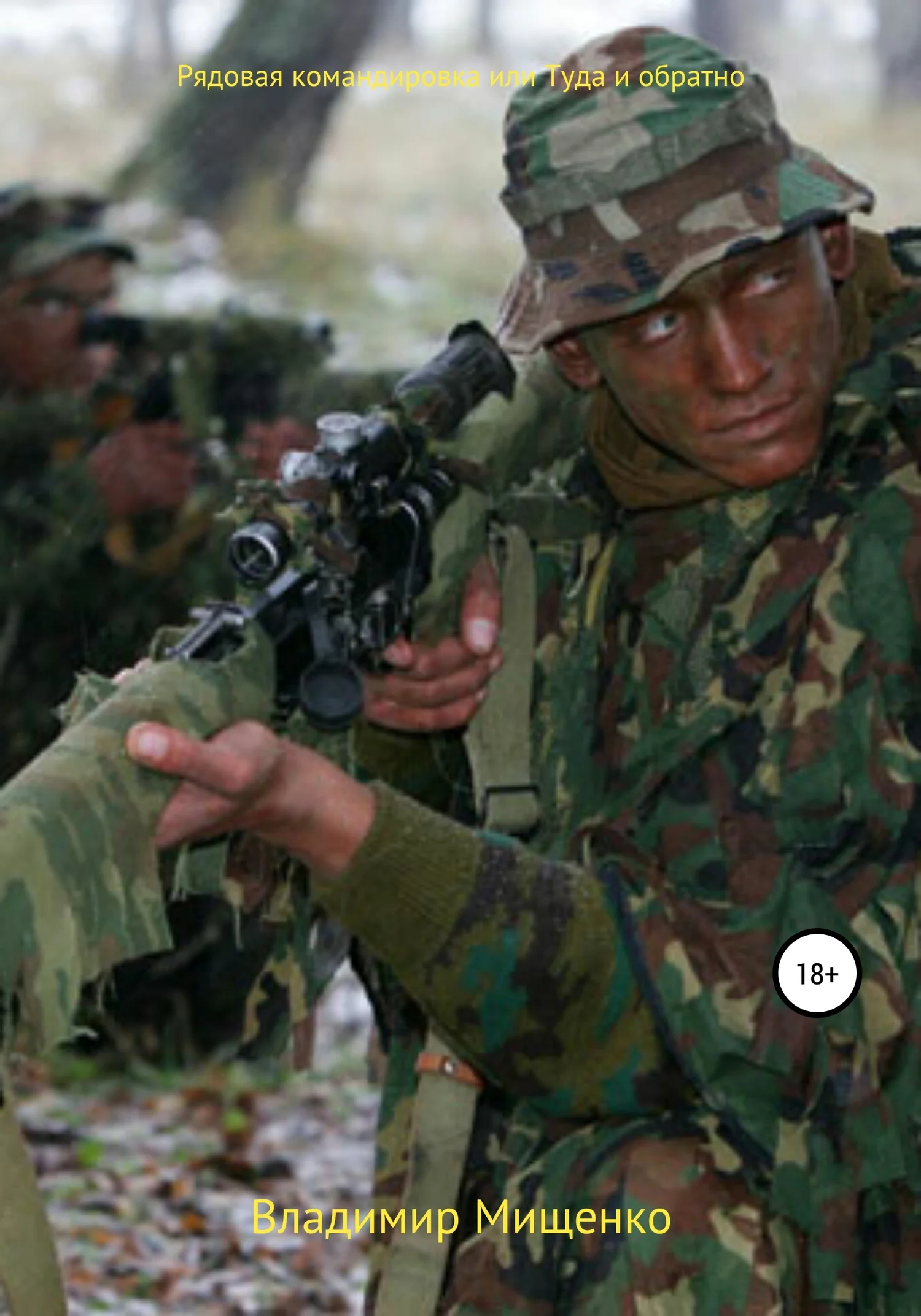 Обложка Рядовая командировка или Туда и обратно