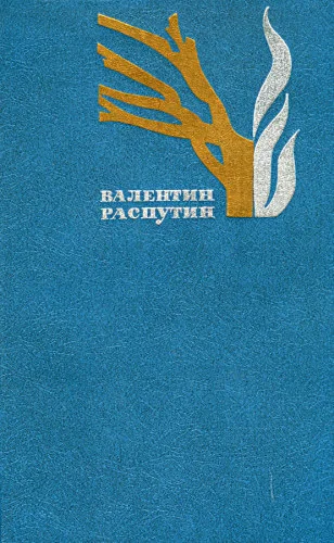 Обложка Встреча