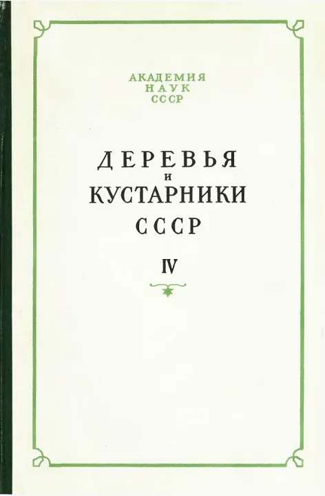 Обложка Деревья и кустарники СССР. Дикорастущие, культивируемые и перспективные для интродукции. IV
