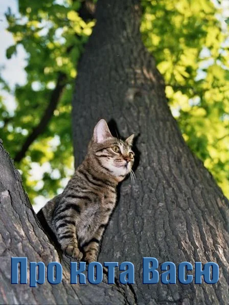 Обложка Про кота Васю (СИ)