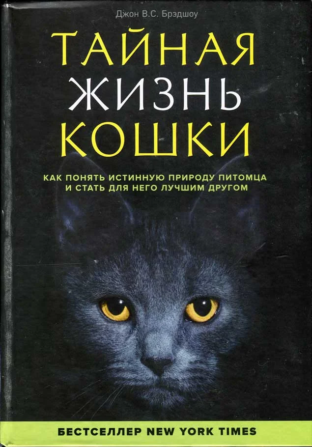 Обложка Тайная жизнь кошки. Как понять истинную природу питомца и стать для него лучшим другом