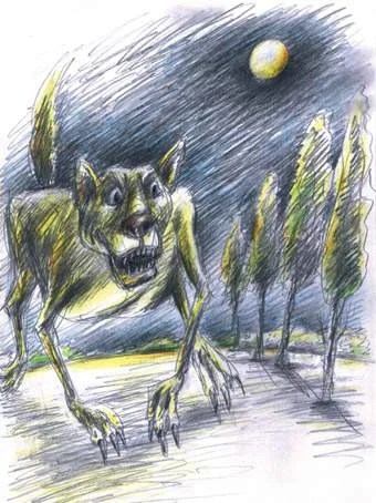 Обложка Волчица