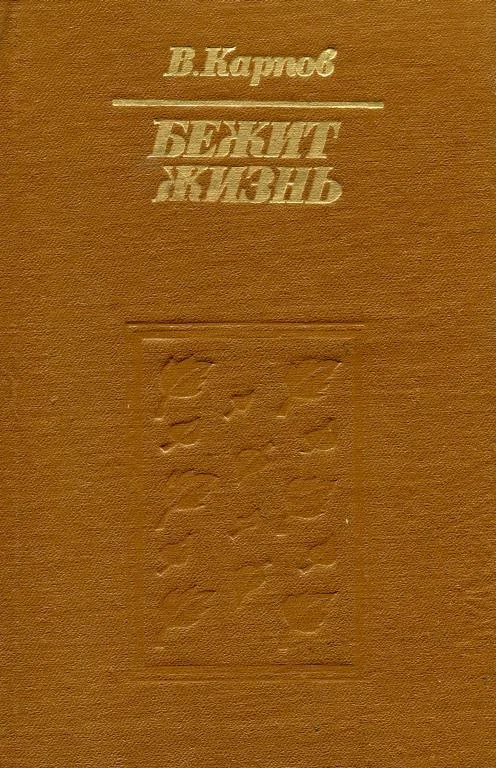 Обложка Бежит жизнь