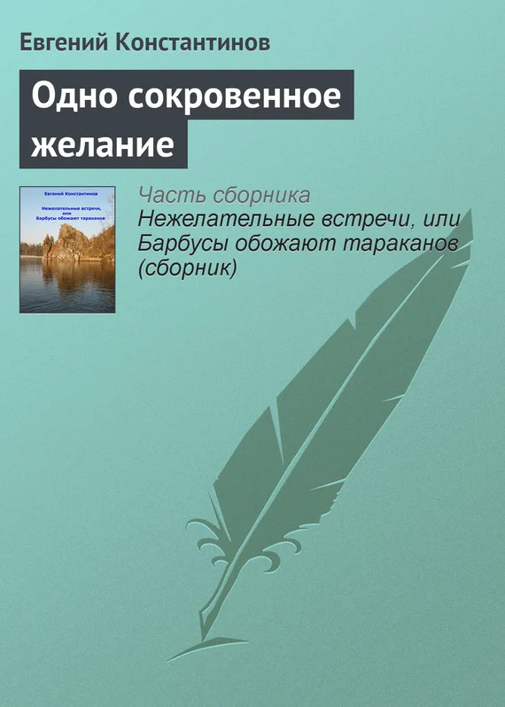 Обложка Одно сокровенное желание