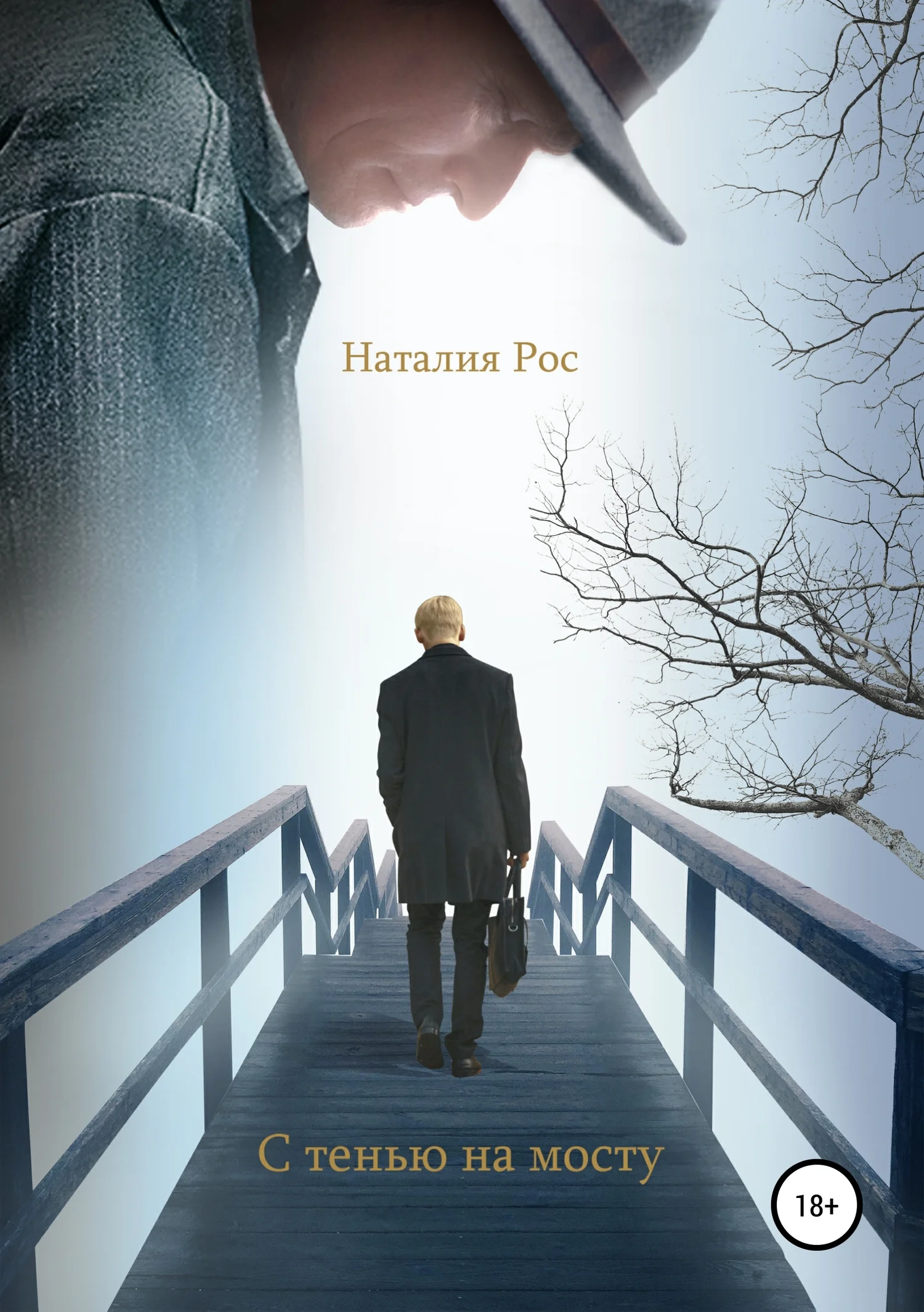 Обложка С тенью на мосту