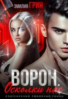 Обложка Ворон. Осколки нас