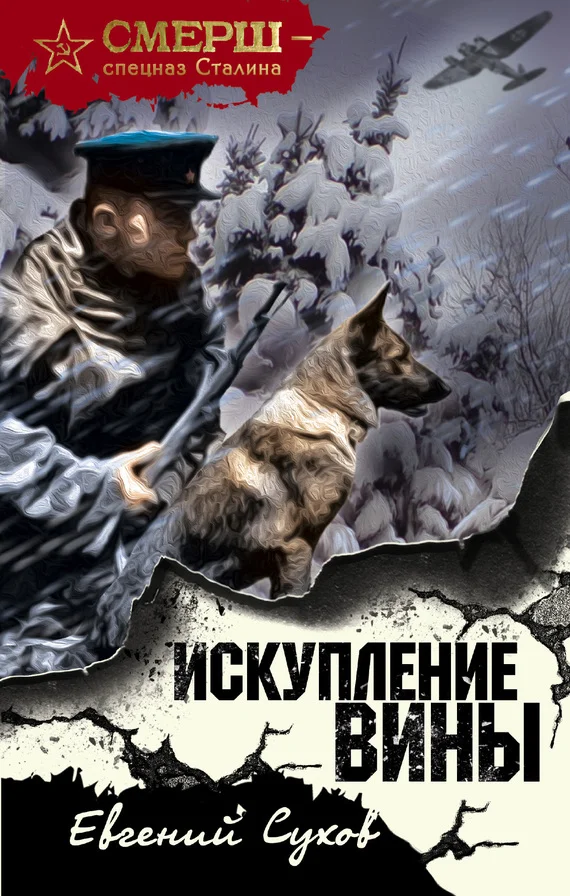 Обложка Искупление вины