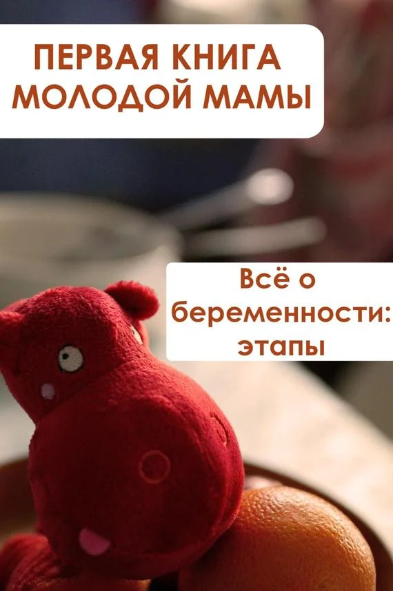 Обложка Всё о беременности: этапы