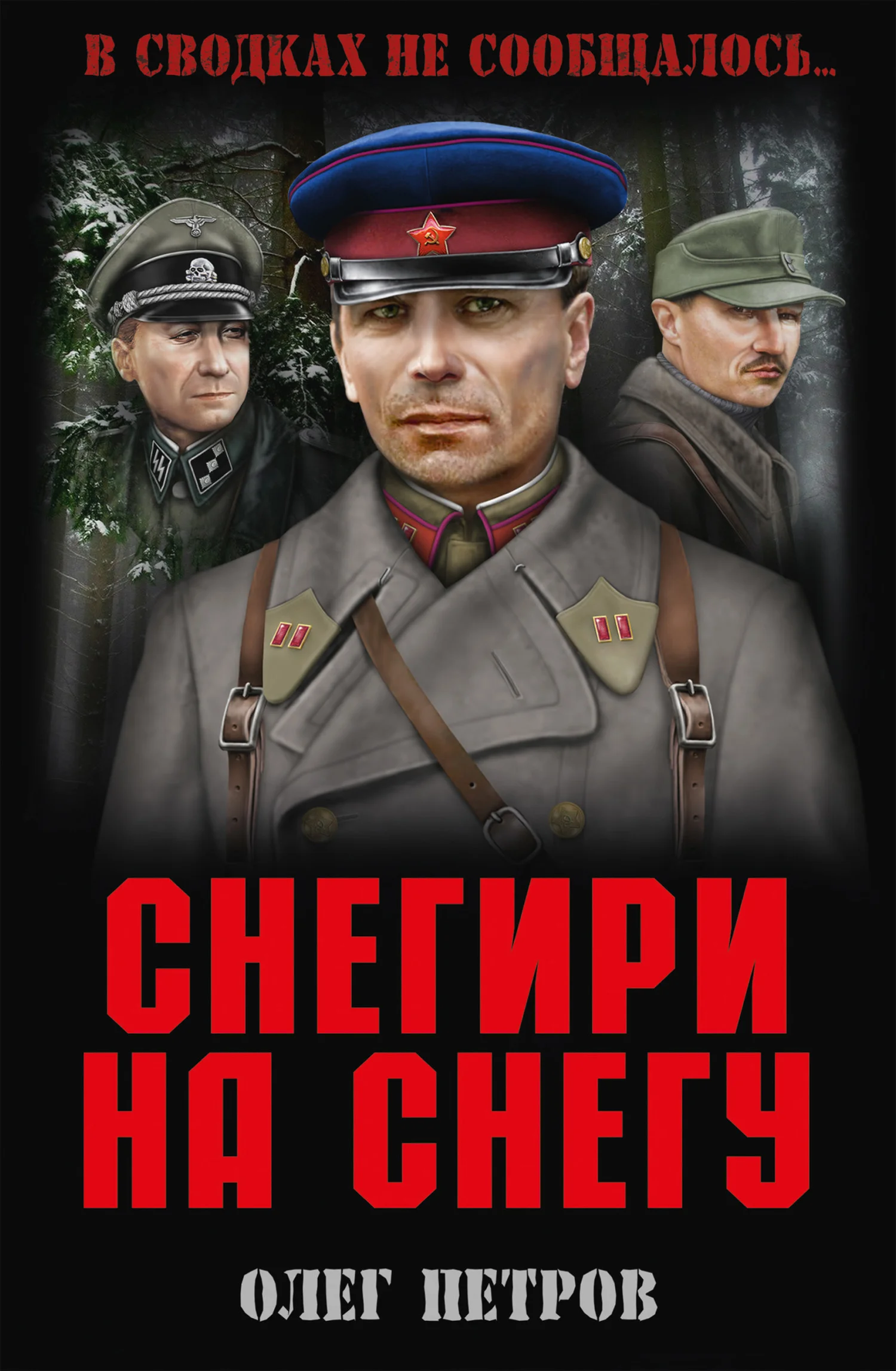 Обложка Снегири на снегу