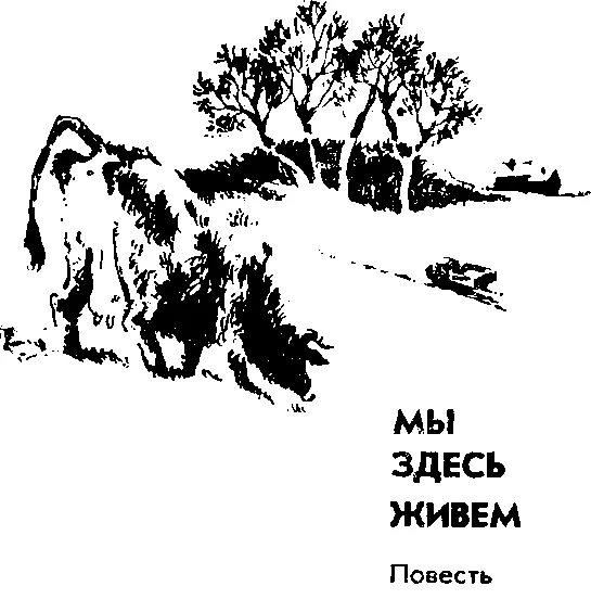 Обложка Мы здесь живём