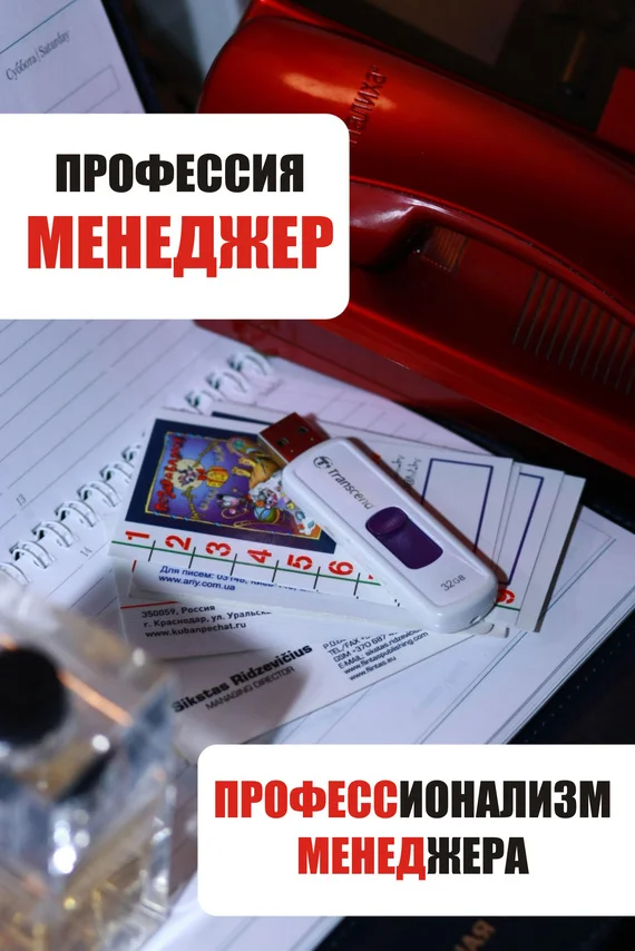 Обложка Профессионализм менеджера