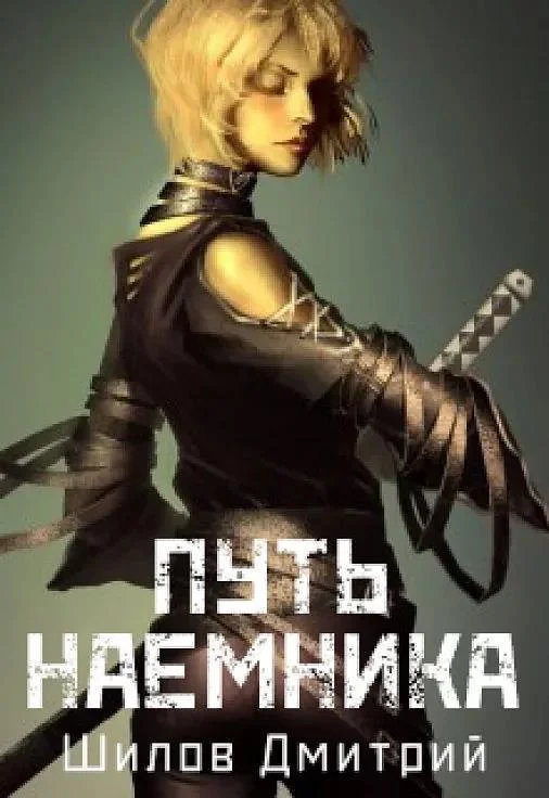 Обложка Путь наемника