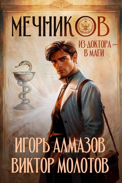 Обложка Мечников. Из доктора в маги