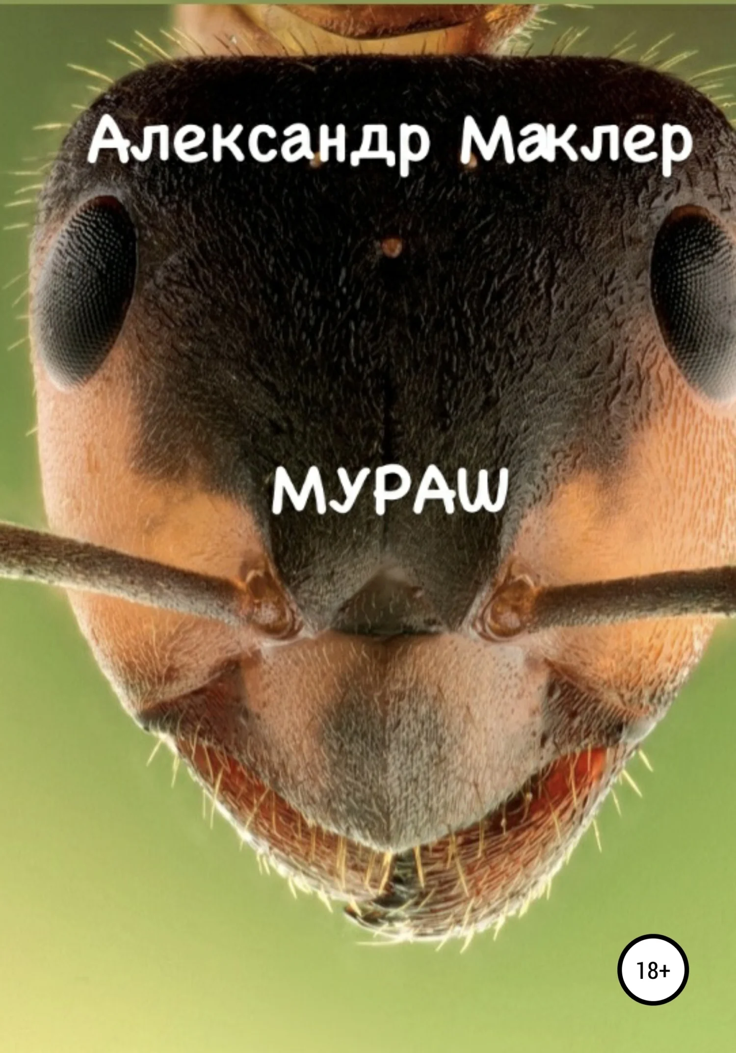 Обложка Мураш