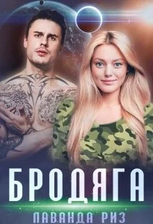 Обложка Бродяга