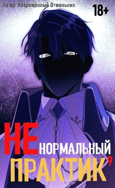 Обложка Ненормальный практик 9