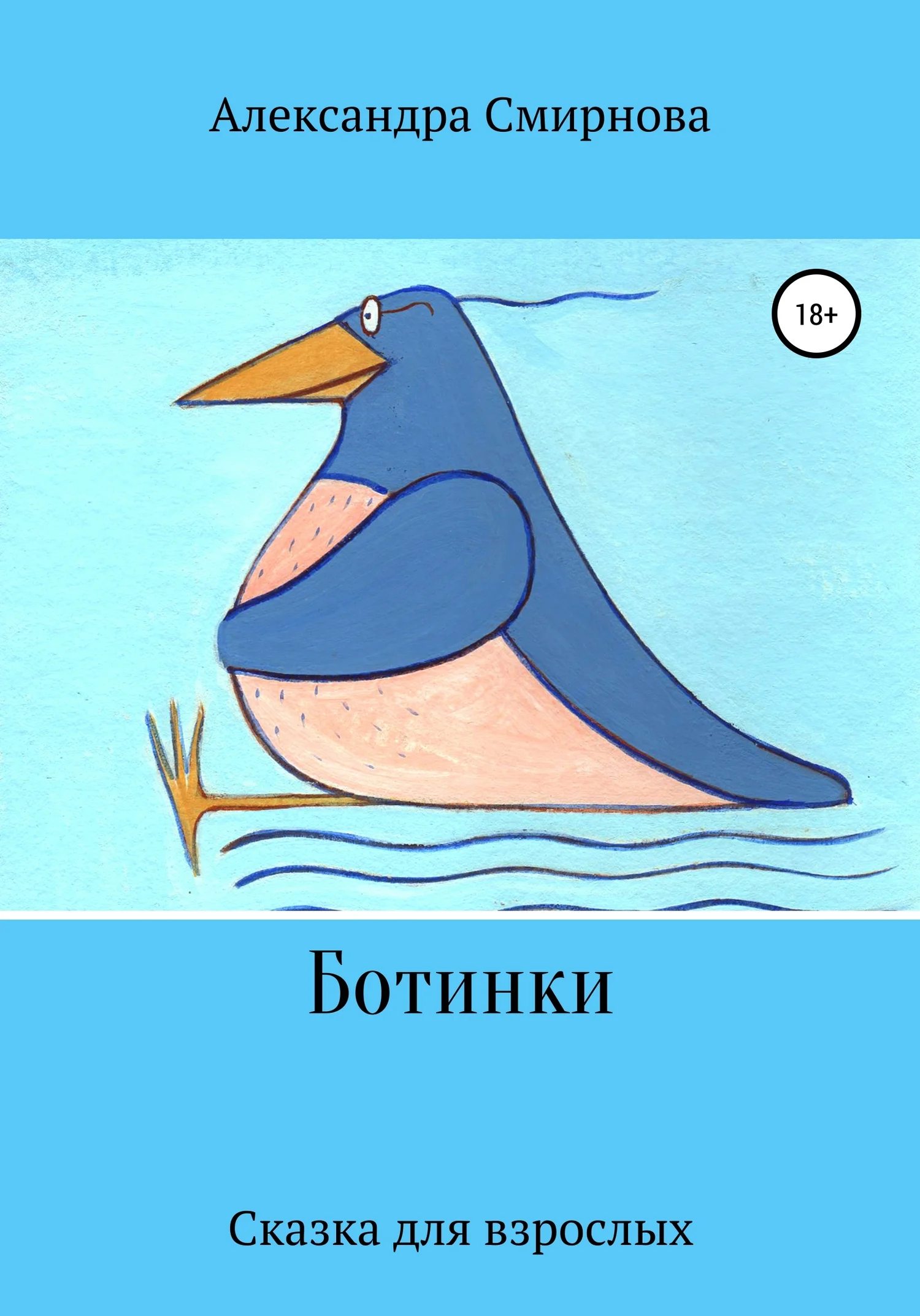 Обложка Ботинки