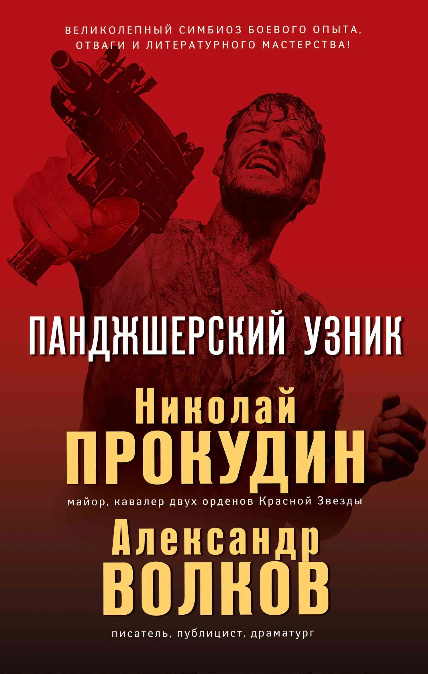 Обложка Панджшерский узник