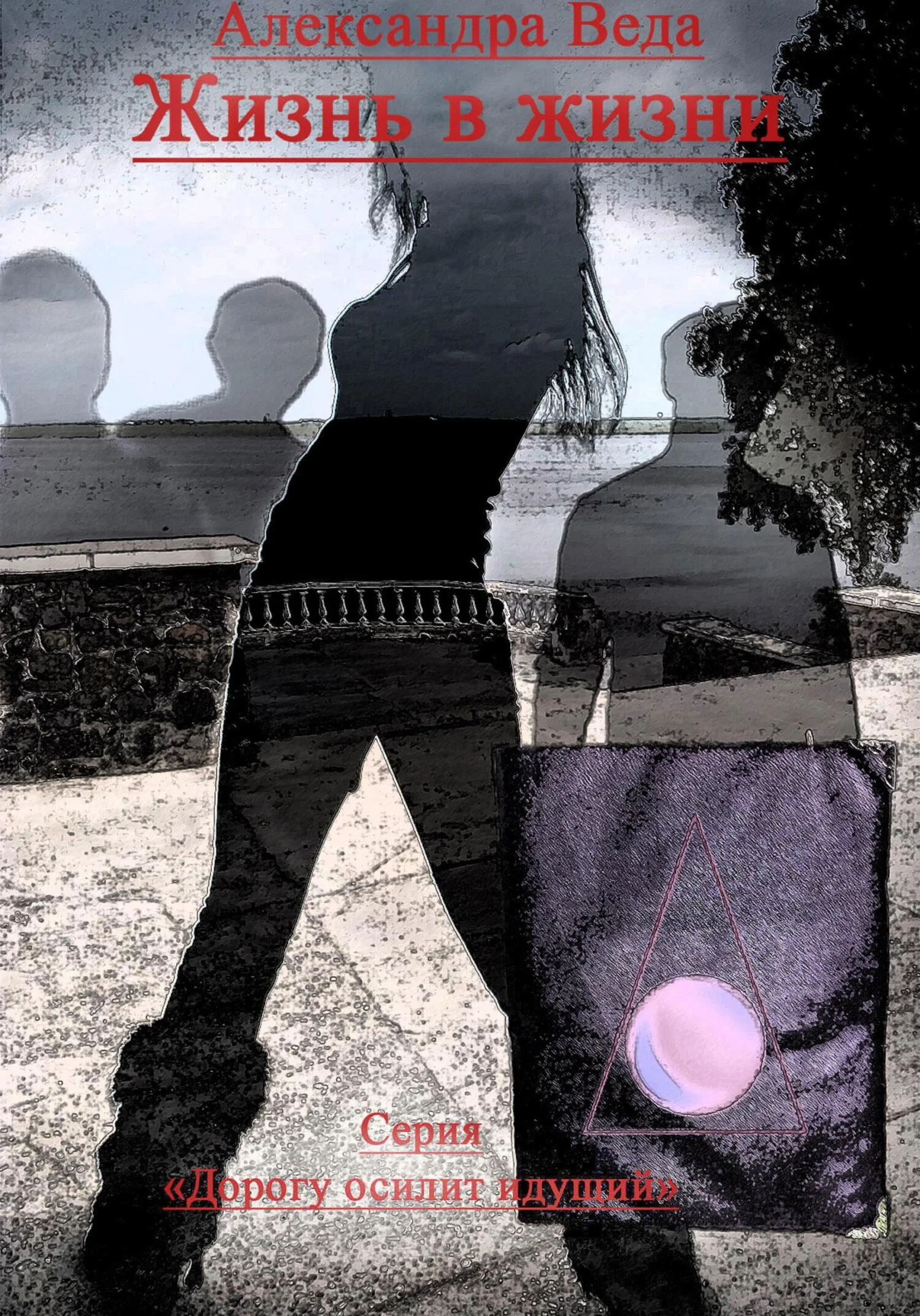 Обложка Жизнь в жизни